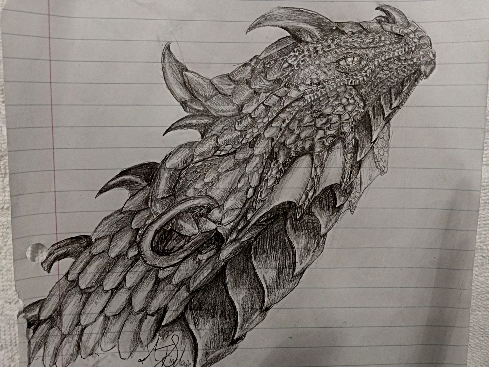 A pencil drawing on lined paper of a dragon's head and neck with many rendered scales. She has extended lobes under her horns that have a ring in them, and a webbed chin.